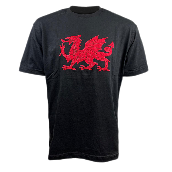 Applique Dragon T-Shirt