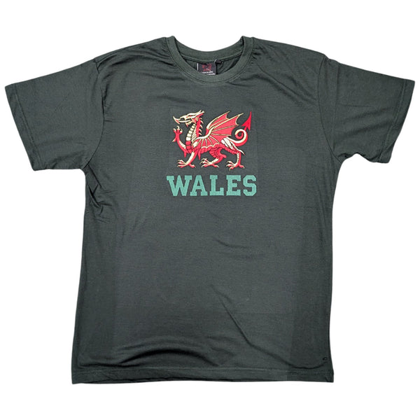 New Golden Dragon Wales T-Shirt